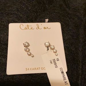 14k gold earrings